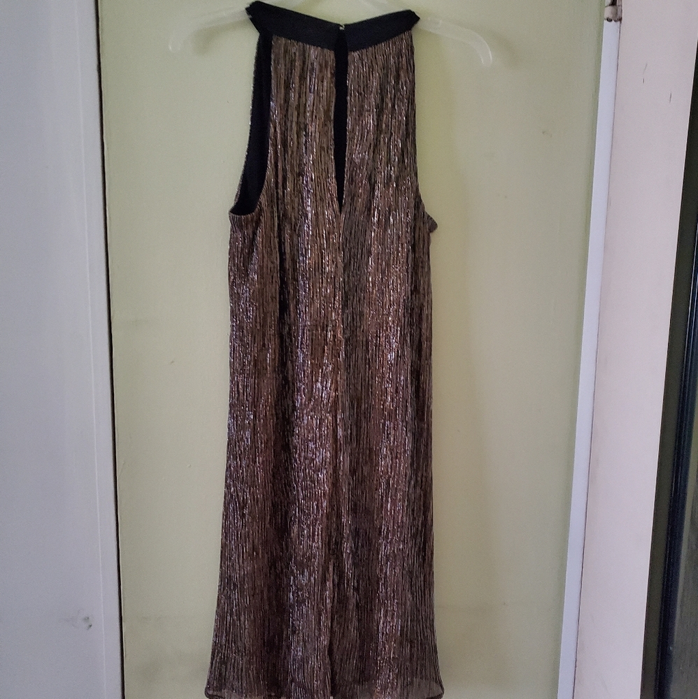 🦄 Metallic Catherine Malandrino Dress - Picture 6 of 7